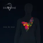 CoverArt-Voie2Soie-DelphineV-gallerie-480x480.jpg